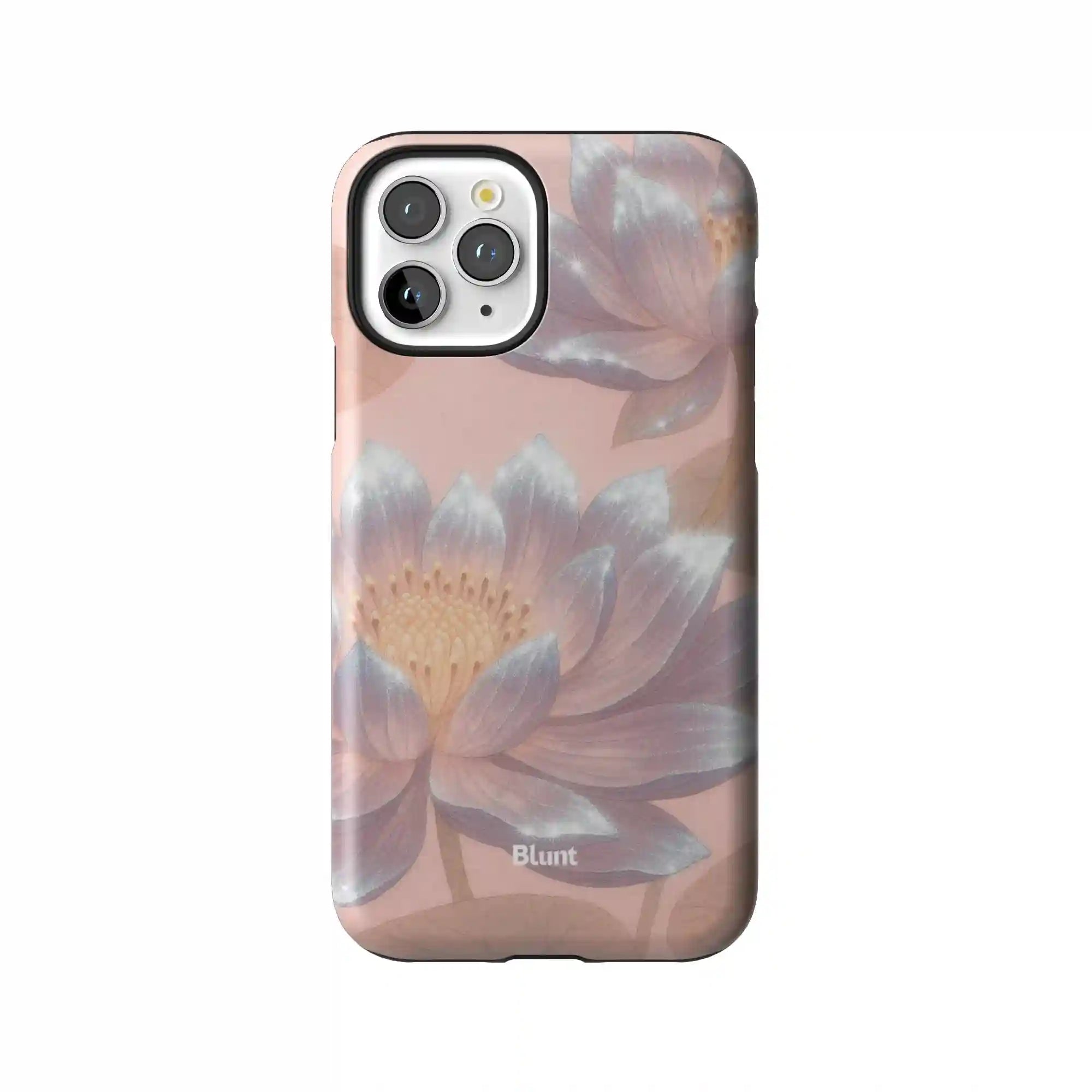 bluntcasesonline.com
