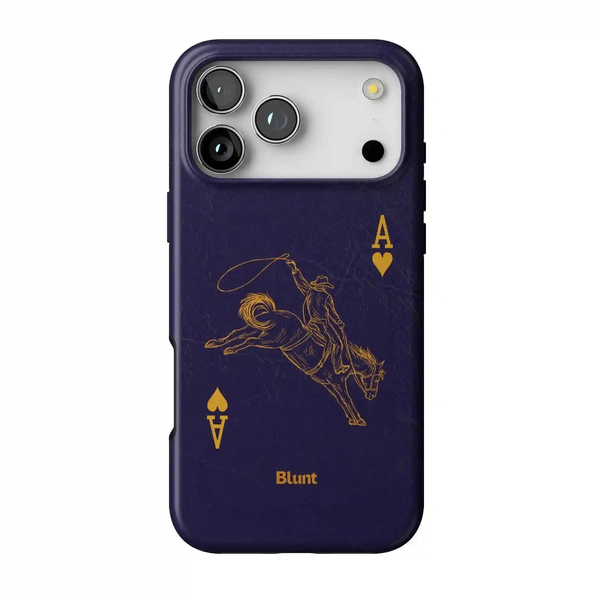 bluntcasesonline.com
