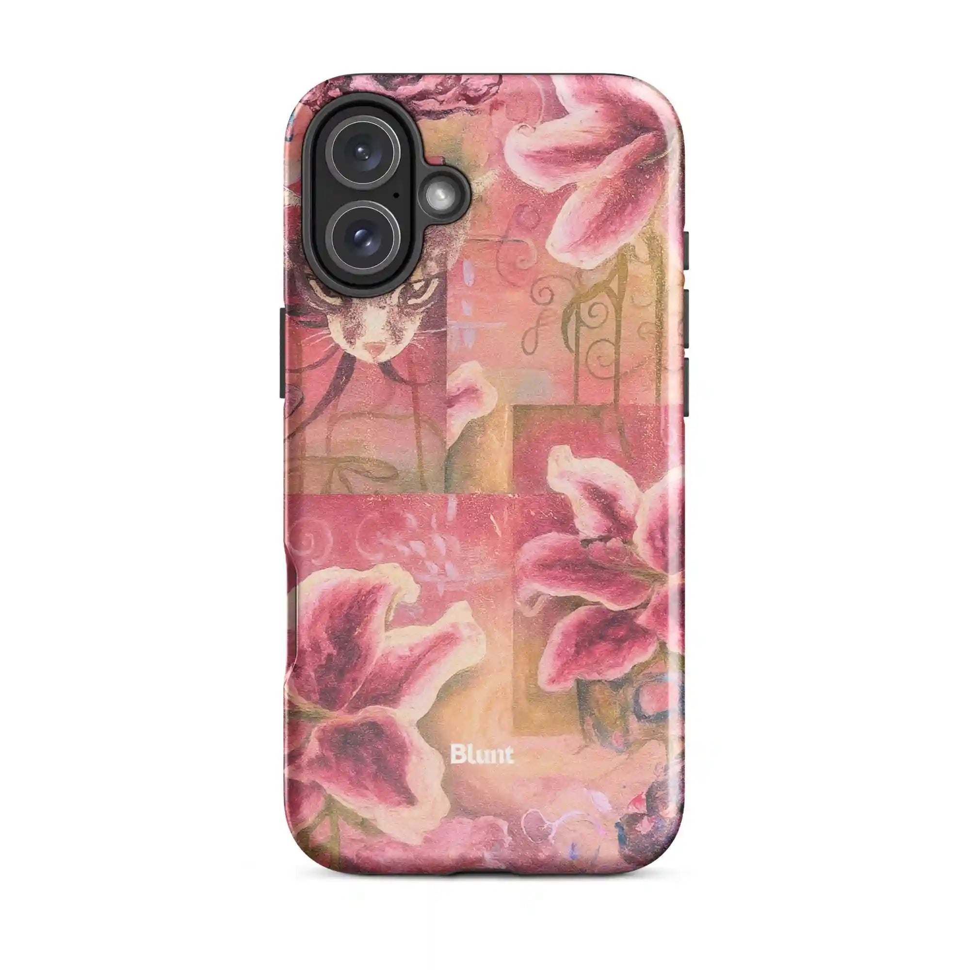 bluntcasesonline.com