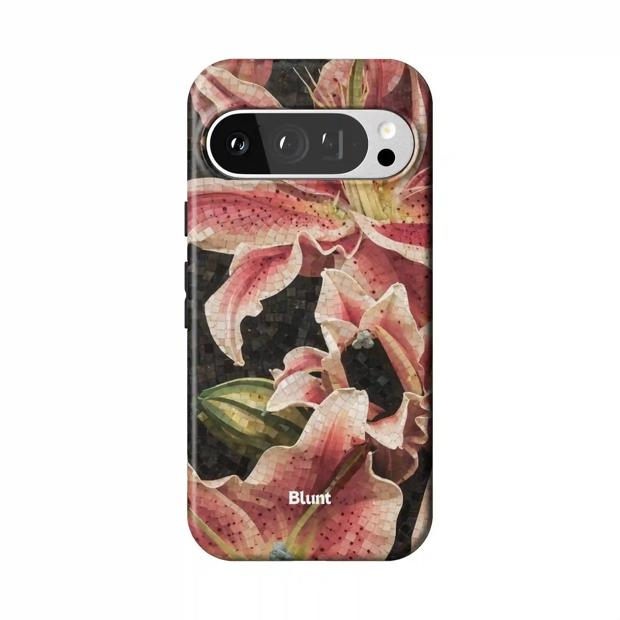 bluntcasesonline.com