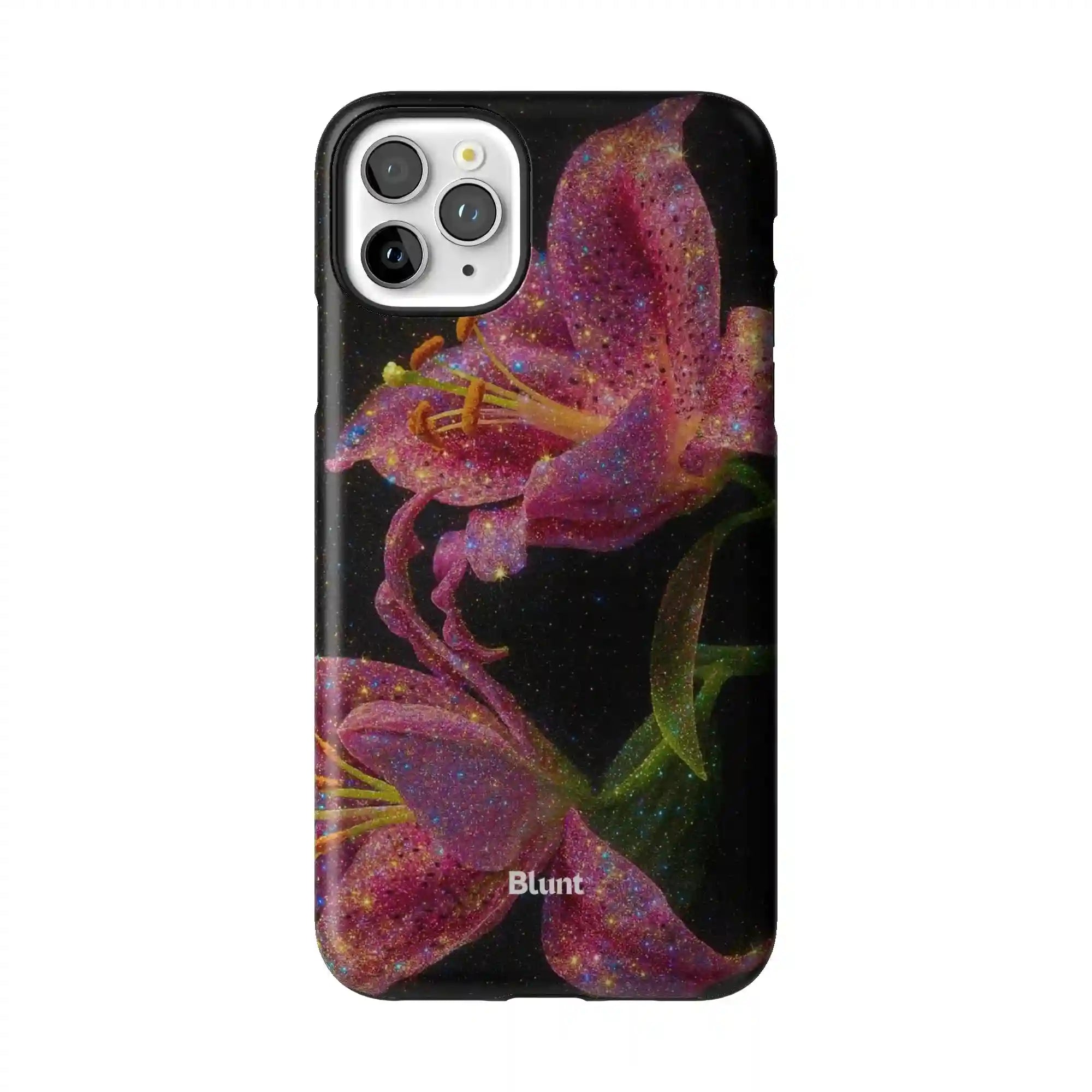 bluntcasesonline.com