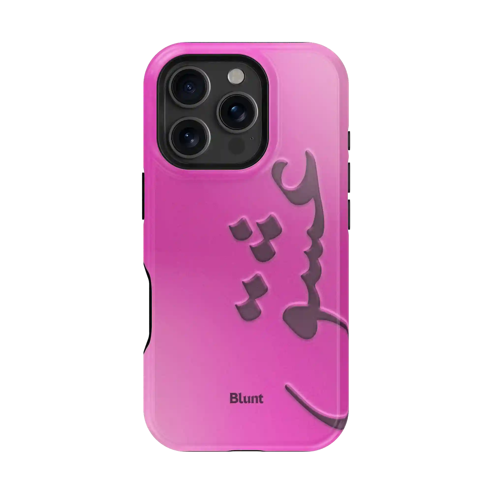 bluntcasesonline.com