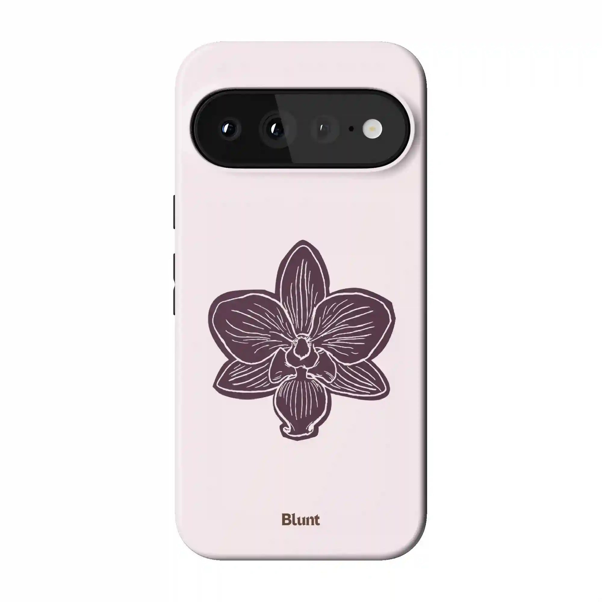 bluntcasesonline.com