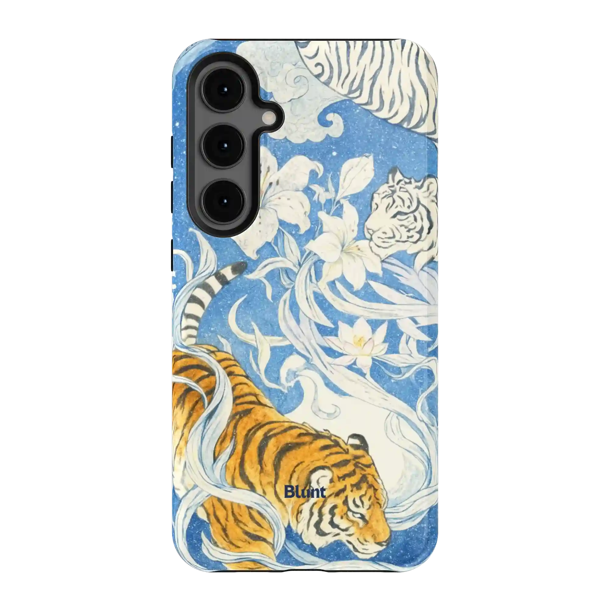 bluntcasesonline.com