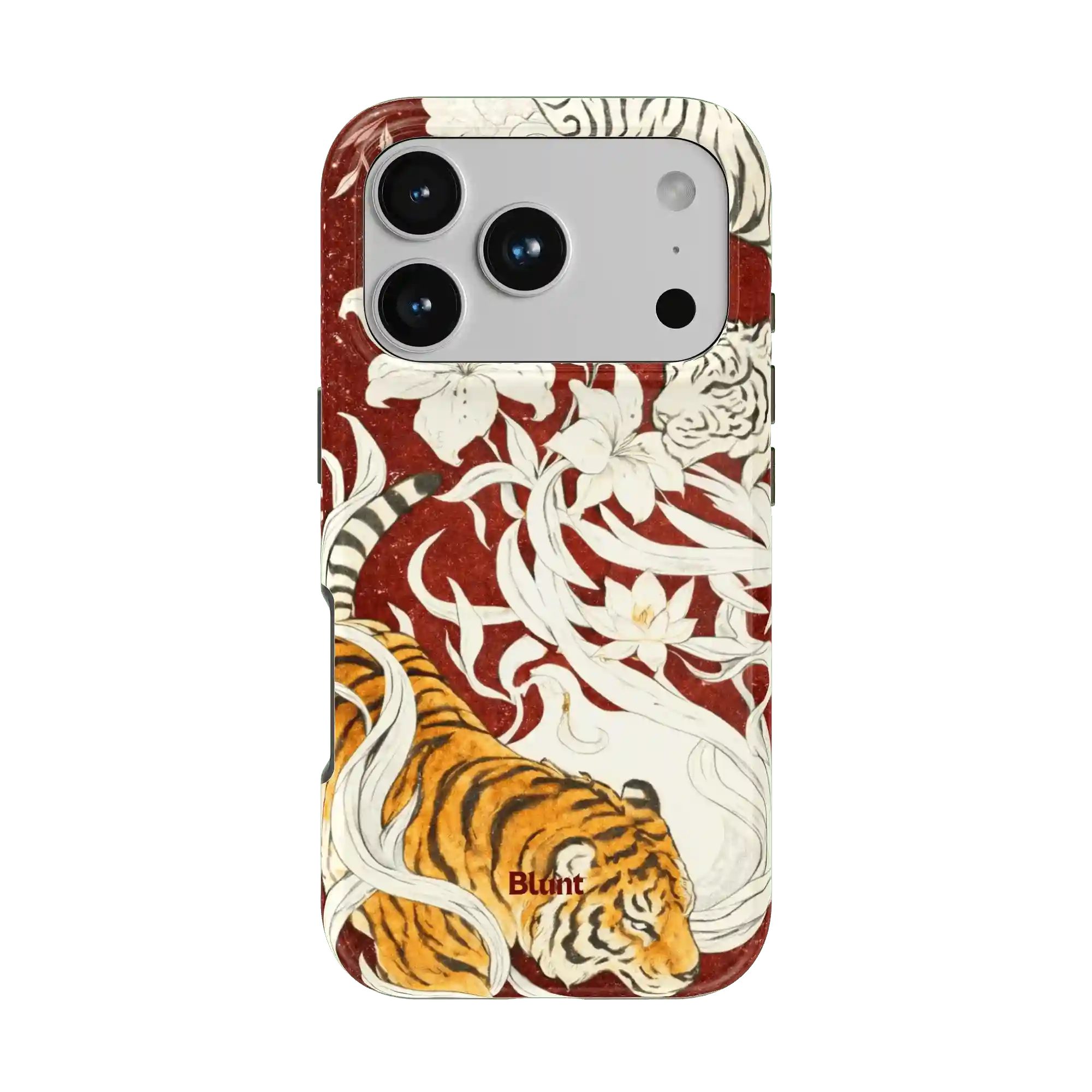 bluntcasesonline.com