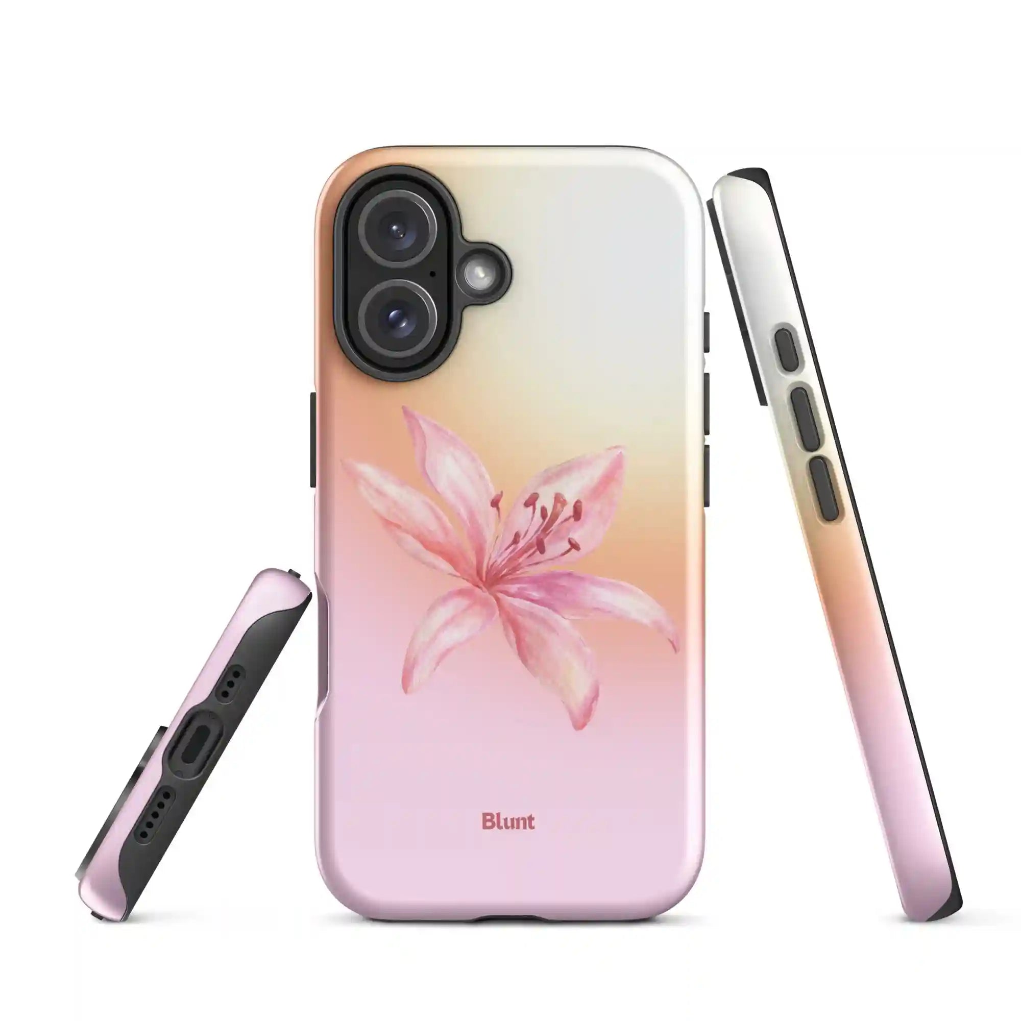 bluntcasesonline.com