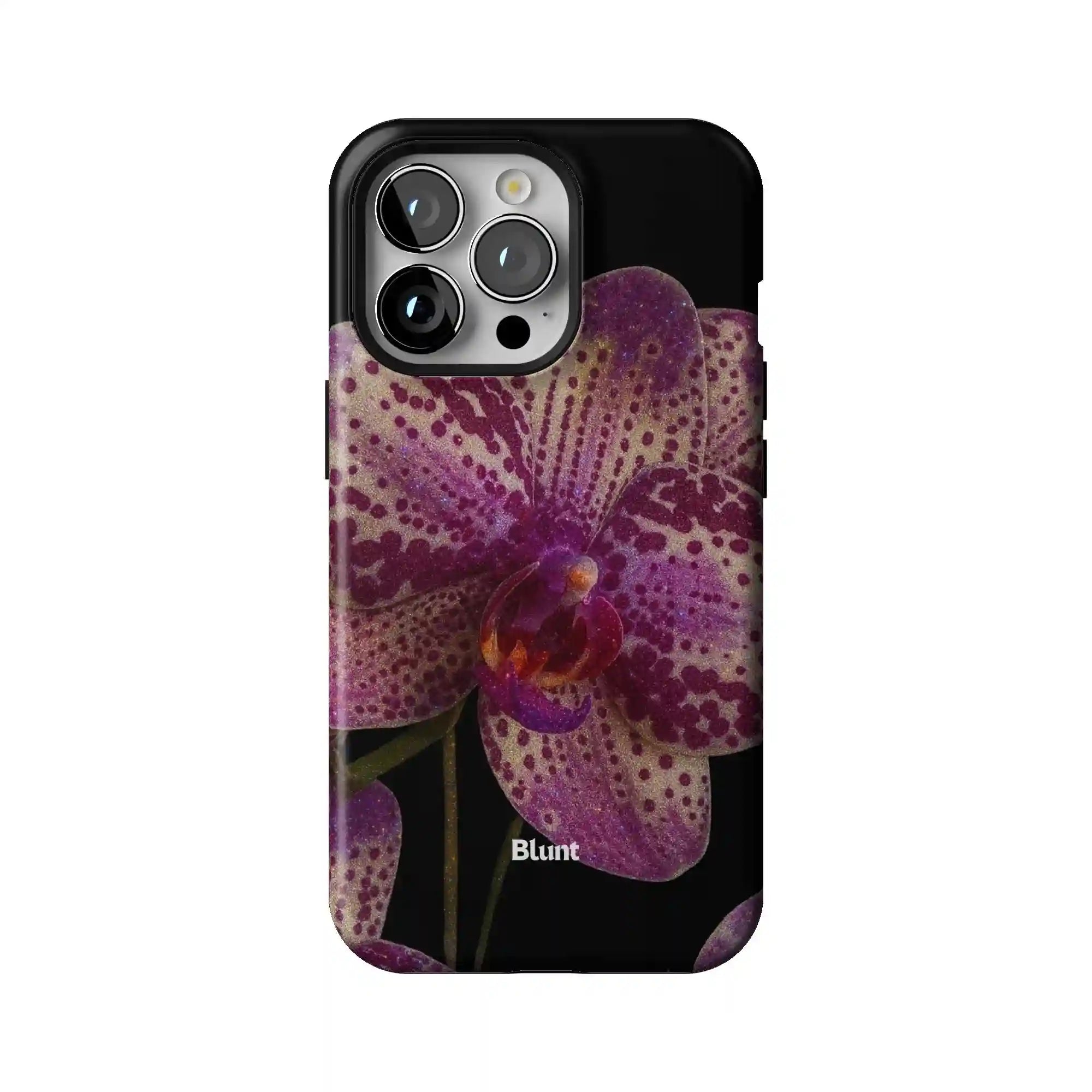 bluntcasesonline.com