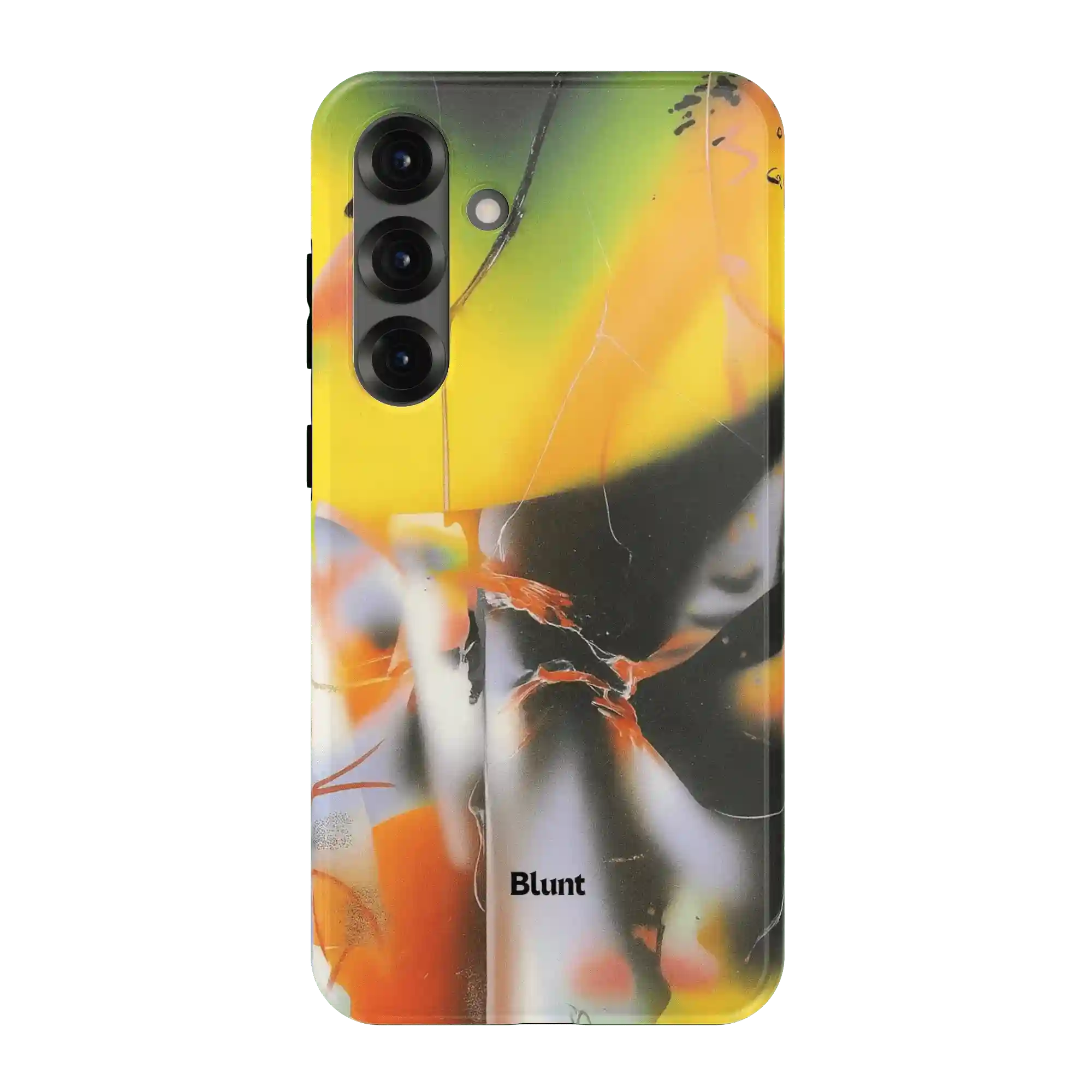 bluntcasesonline.com